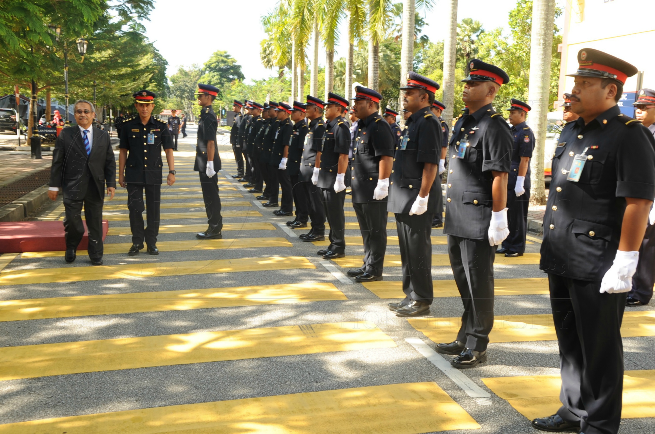 PRO 16 6 AMANAT VCHAS 8571